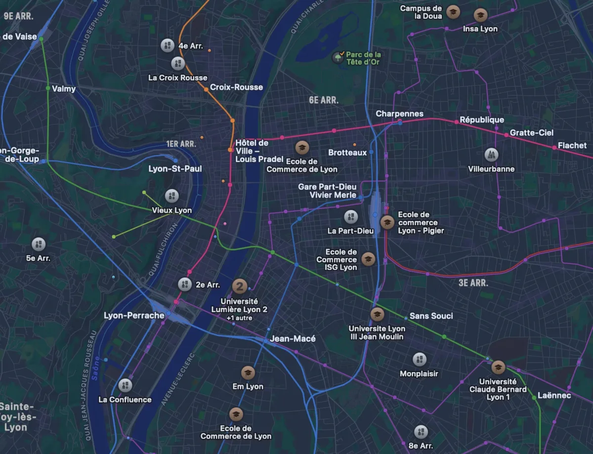 carte de lyon représentant les lignes de métro et les écoles principales